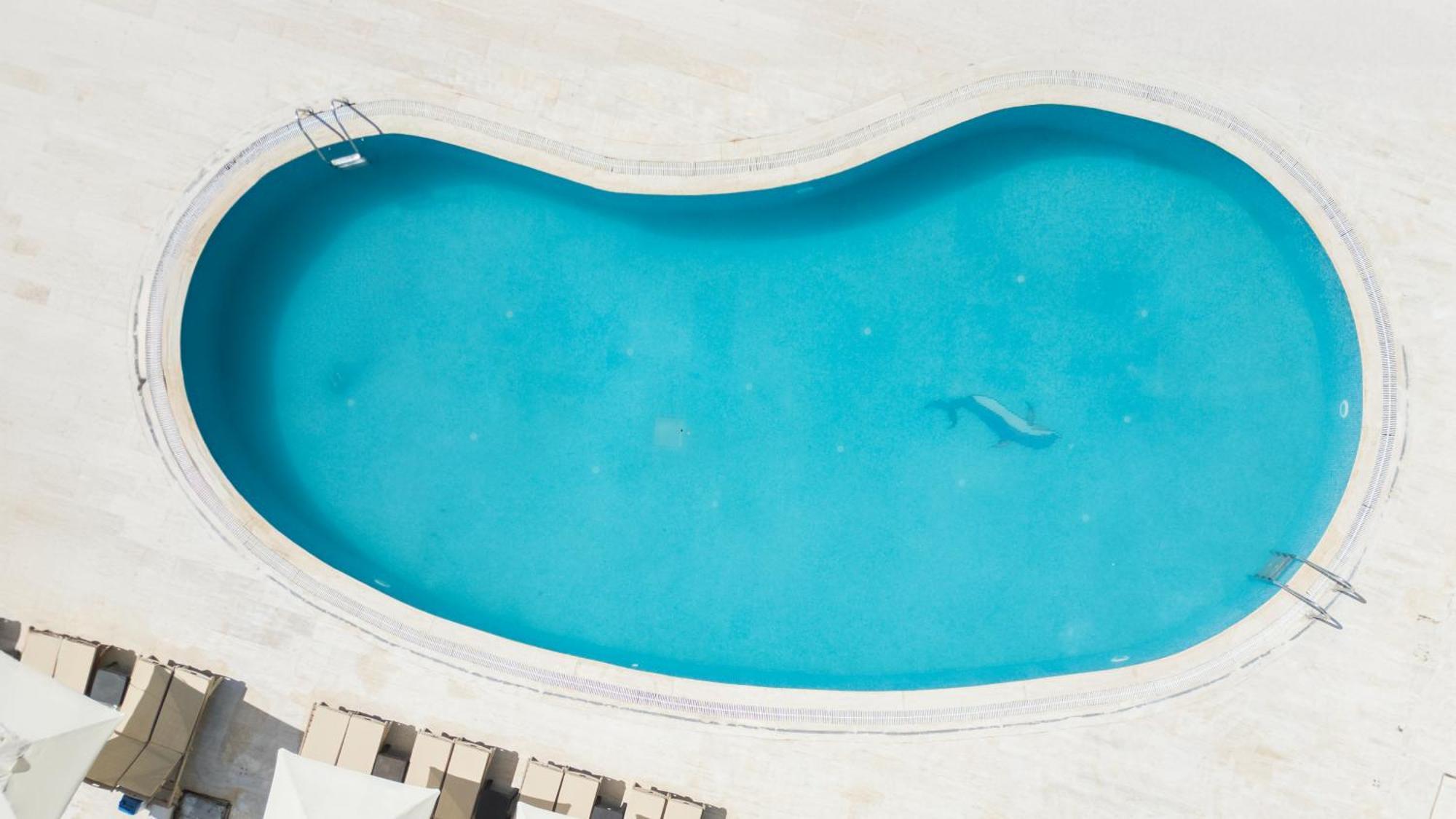 Salinas Beach Hotel Bodrum-Boutique Concept Gümbet Esterno foto
