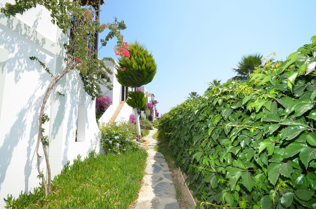 Salinas Beach Hotel Bodrum-Boutique Concept Gümbet Esterno foto